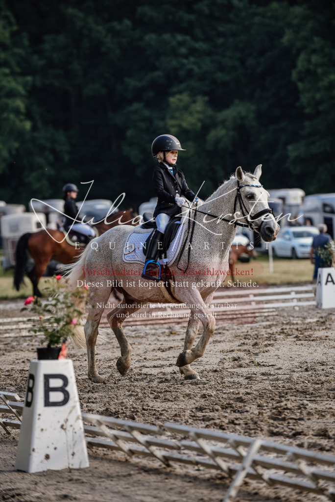 DSC_8373 | Pferde- und Turnierfotografie in Westsachsen. Pferdeportraits, Auftragszeichnungen und intuitive Kunst.