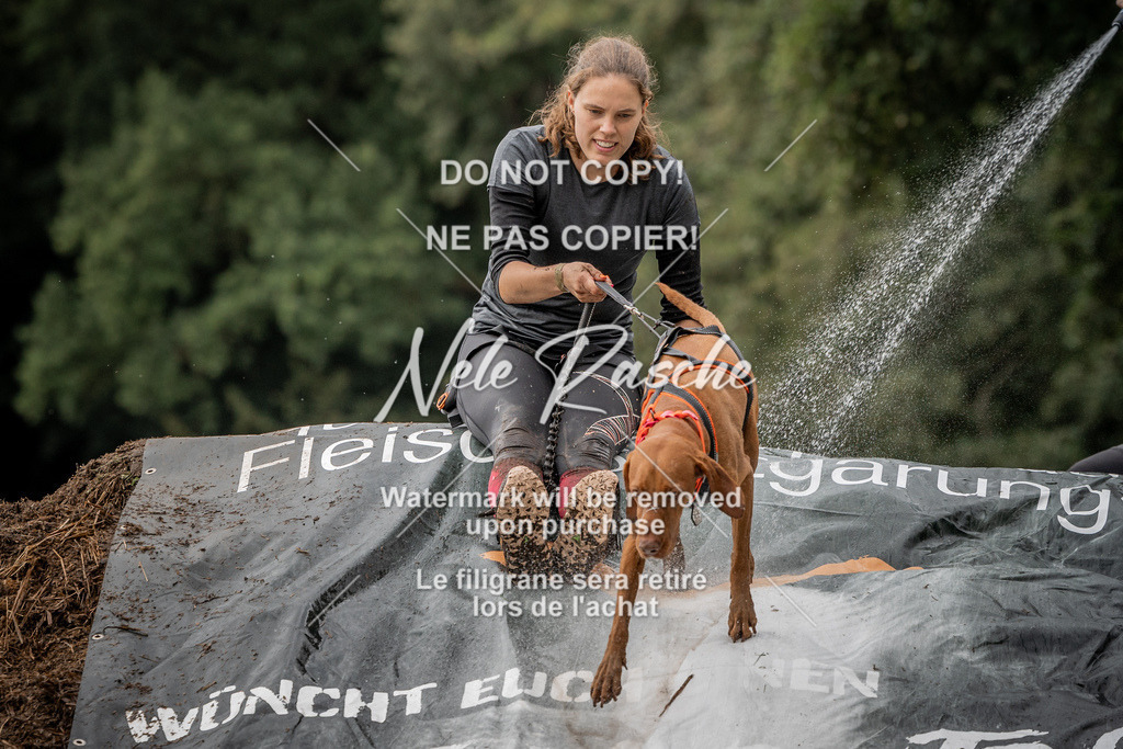 nelerasche_Wingst_Sa1300-1330_153 | nelerasche