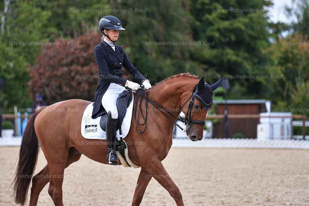 12-220-DRESSUR  S___  -Marixx-5218 | working equitationturnier fotograf videograf stoibphotography marixx film working equitation deutschland reitsport turnierfotografie eventfotografie equestrian events
