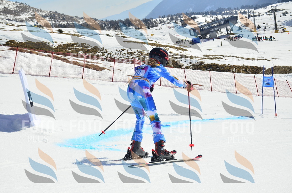 _ELE0390 | holidayphoto