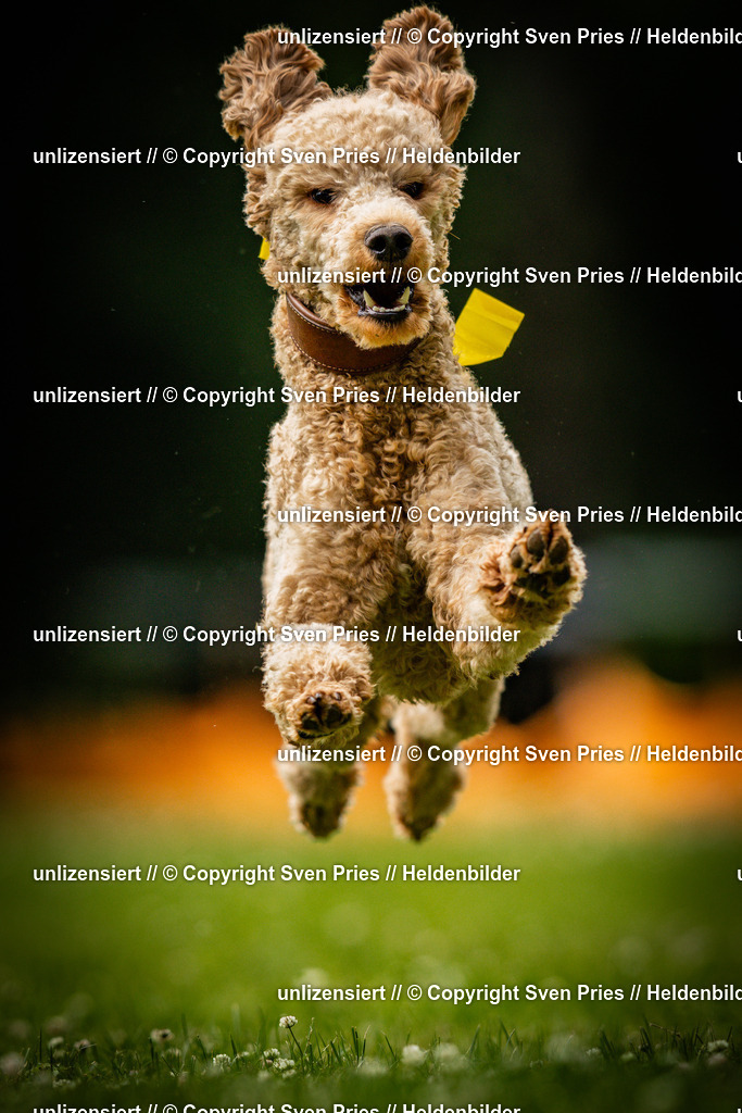 Sven Pries | 2025-05-29 - Pudelrennen KA-Durlach - Realisiert mit Pictrs.com