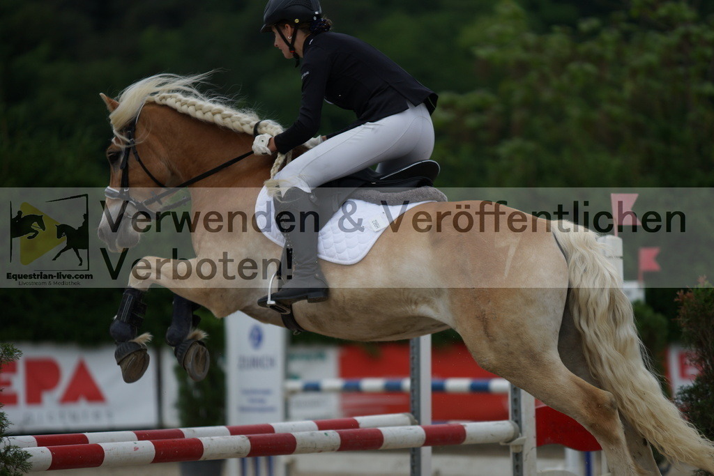 DSC06745 | equestrian-live-com