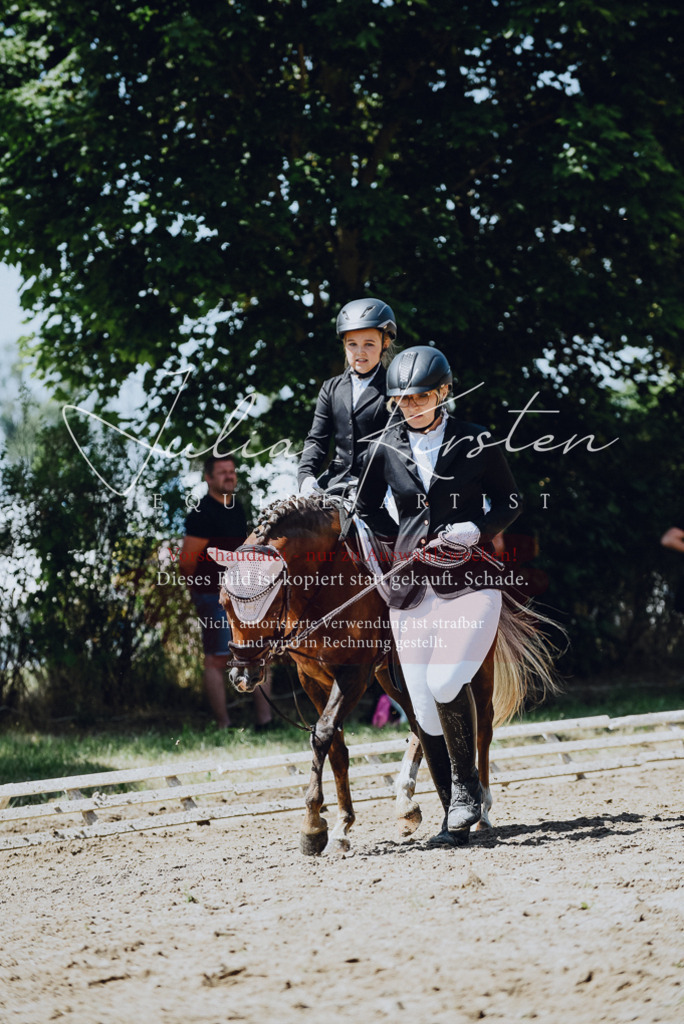 DSC_2544 | Pferde- und Turnierfotografie in Westsachsen. Pferdeportraits, Auftragszeichnungen und intuitive Kunst.