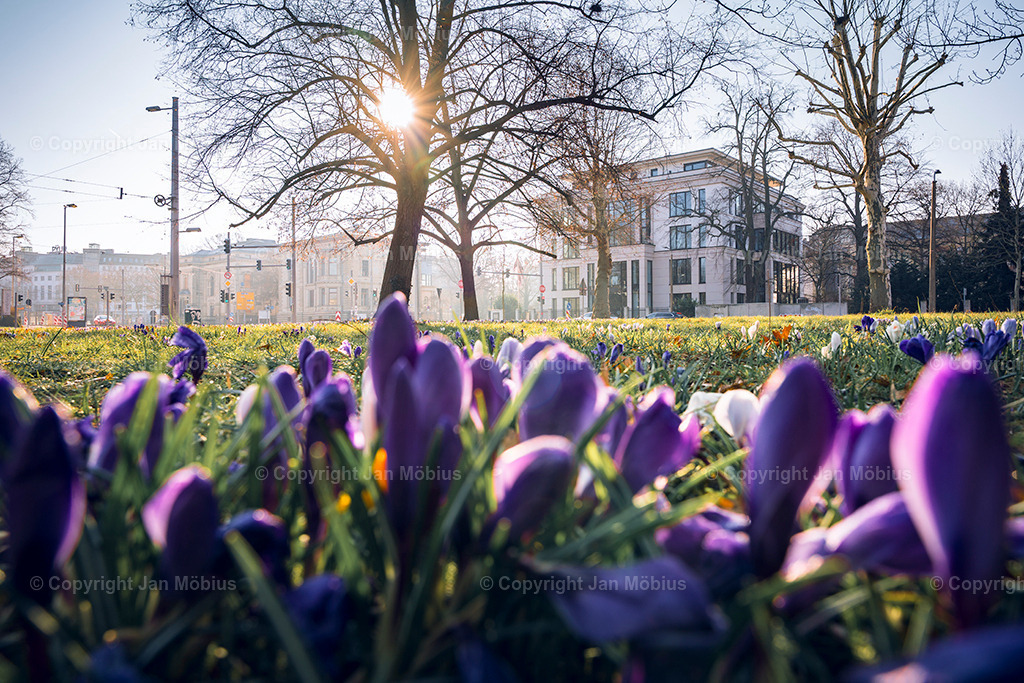 _DSC0256 | Leipzig Wandbilder Drucke Prints Leinwand Stadtmotive Leipzig Fotosdruck Kunstdrucke Bilder Leipzig Stadtansichten Acrylglasbilder Leipzig Wanddeko Fine Art Prints Wandbilder Büro Leipzig Bilder Praxis Zuhause Bilderdruck Poster Posterlounge Kunstdrucke - Realisiert mit Pictrs.com