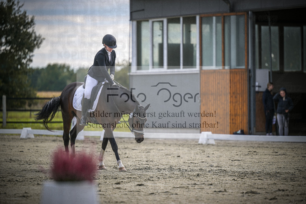 DOS_1252 | Entdecke hochwertige Reitturnierfotos von Foto Oger. Professionell, emotional und authentisch – jetzt Lieblingsmomente im Shop bestellen.Deutschlandweite Turnierfotografie. - Realisiert mit Pictrs.com