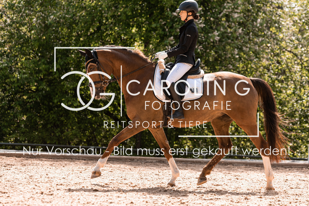 DSC_9920 | Turnierfotografin Carolin Gieschke, Turnierfotografie Carolin G Fotografie, Turnierfotos Kirchheim/Teck, Esslingen, Stuttgart, Bodenseekreis