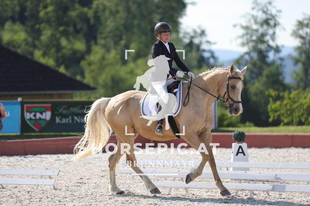 0P6A8402 | Willkommen bei Brunnmayr - Design & Fotografie – Ihrem Spezialisten für Reitturniere und Pferdeveranstaltungen in Oberösterreich, Salzburg und Bayern! Seit über 17 Jahren sind wir leidenschaftlich dabei.