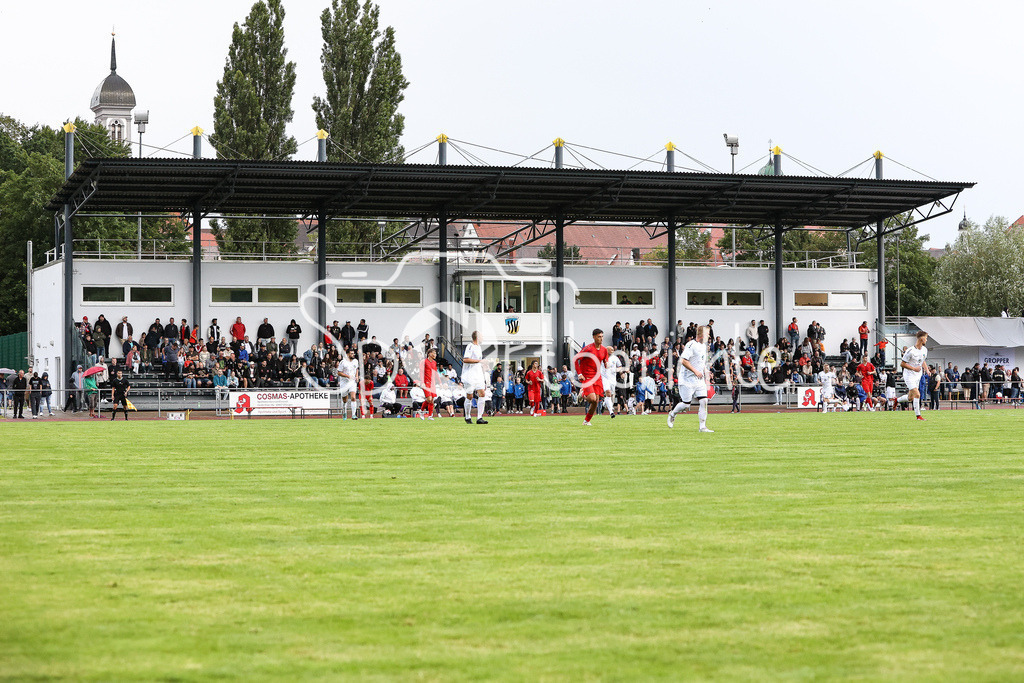 SSV Dillingen - FC Bayern Amateure | Die gut gefuellte Tribüne im Donaustadion von Dilligen