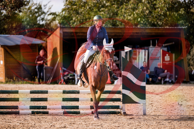 2026_10_03_Siefer-Hof_160637_Z81_88412907 | Professionelle Reitsport-, Turnier- und Eventfotografie von Robert Broda. Galerien mit ausgewählten und bearbeiteten Bildern direkt online ansehen und bestellen.