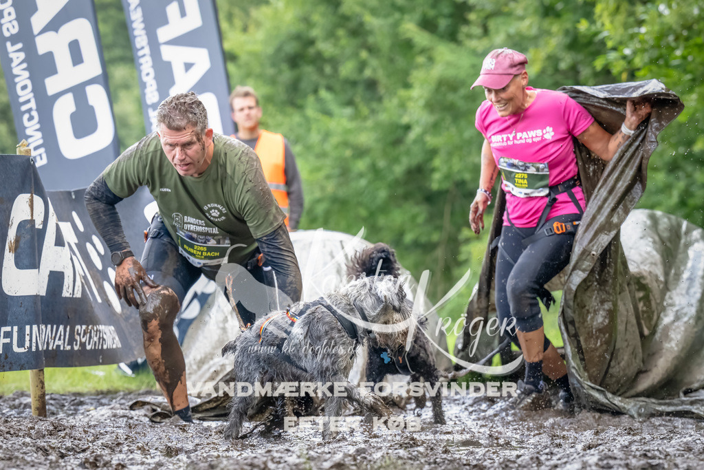 1140_ZZ93875-Bearbeitet | kk-dogfotos