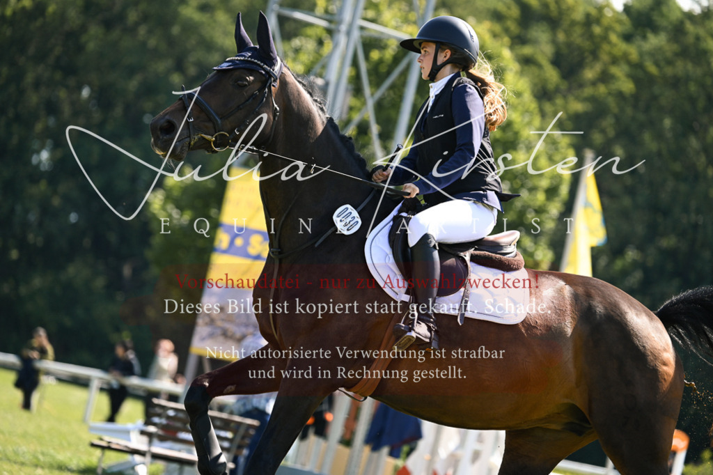DSC_8767 | Pferde- und Turnierfotografie in Westsachsen. Pferdeportraits, Auftragszeichnungen und intuitive Kunst.