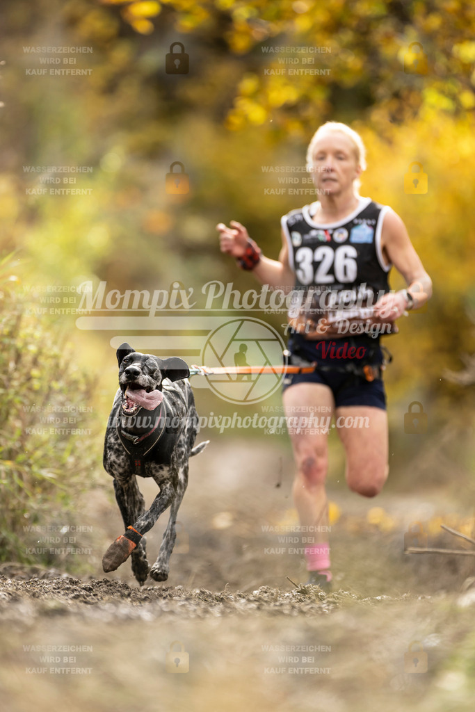MompixPhotography_ICF_WC_2024_SA_Run_-199 | PayLife