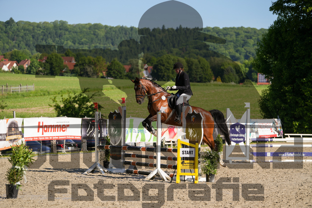 DSC02033 | Julian Held Fotografie - Realisiert mit Pictrs.com