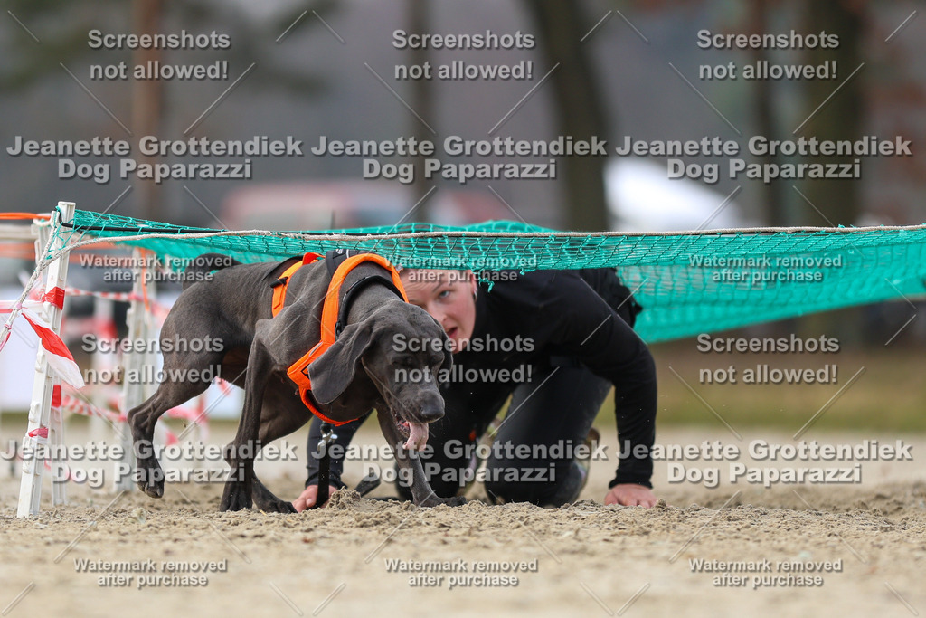 Dog Paparazzi - Strongdog North Mrz26-4416 | Dog Paparazzi Jeanette Grottendiek Fotografie & Videografie - Realisiert mit Pictrs.com