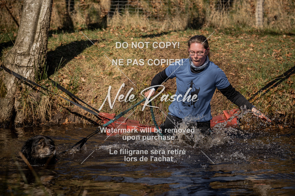 nelerasche_FS1100-1145_409 | nelerasche