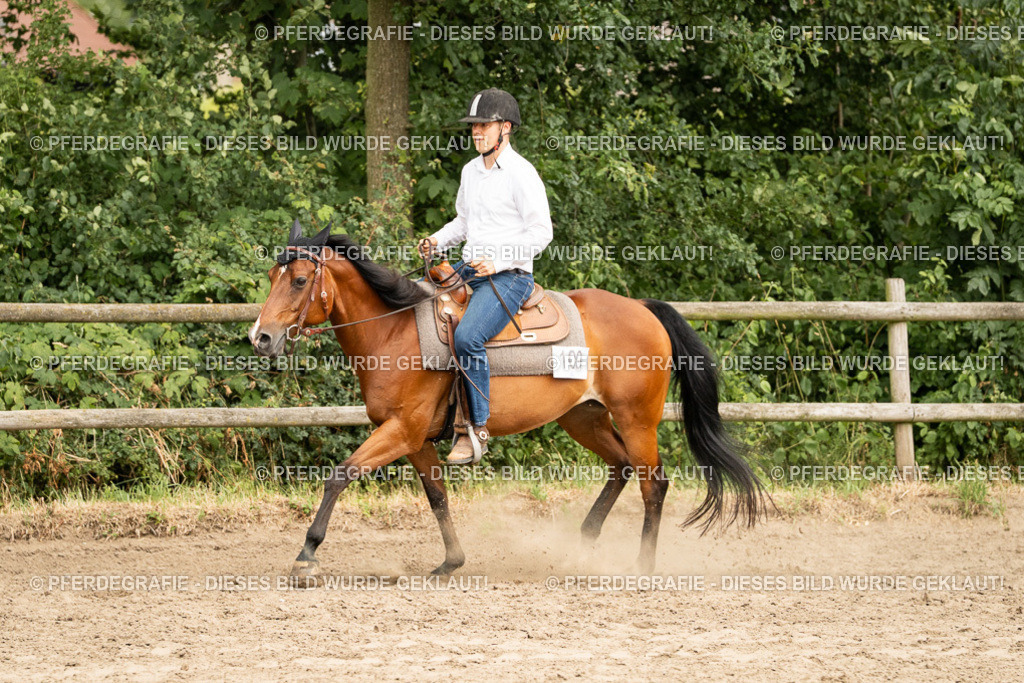 DSC00802 | Pferdegrafie