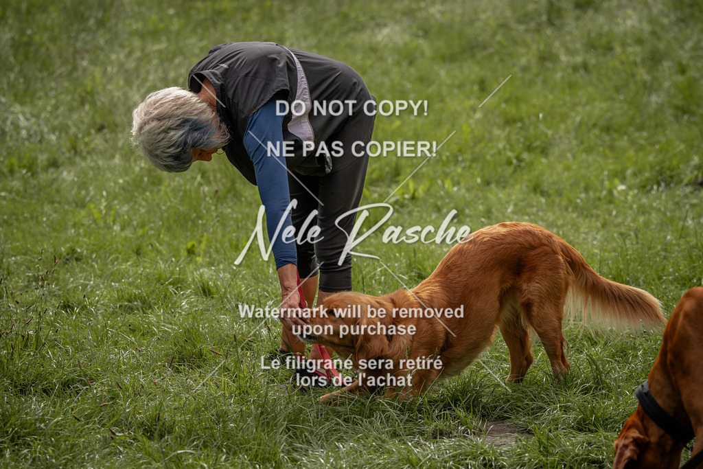 nelerasche_DoN_66 | nelerasche