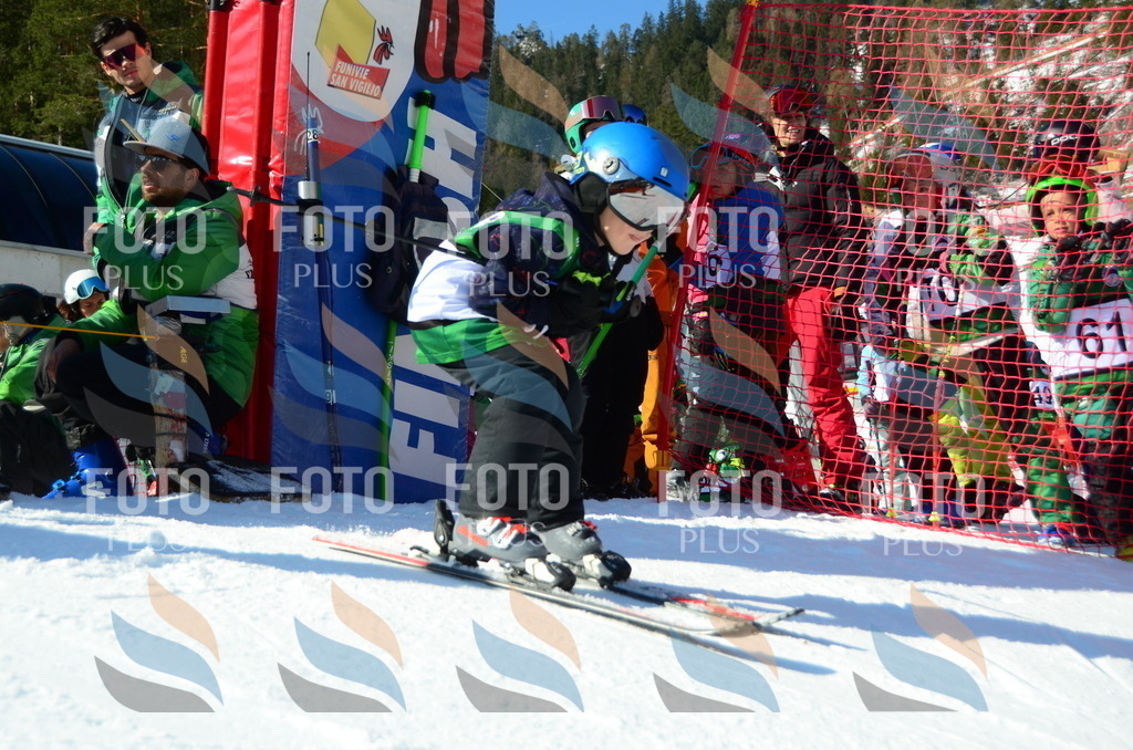 C4913 | holidayphoto