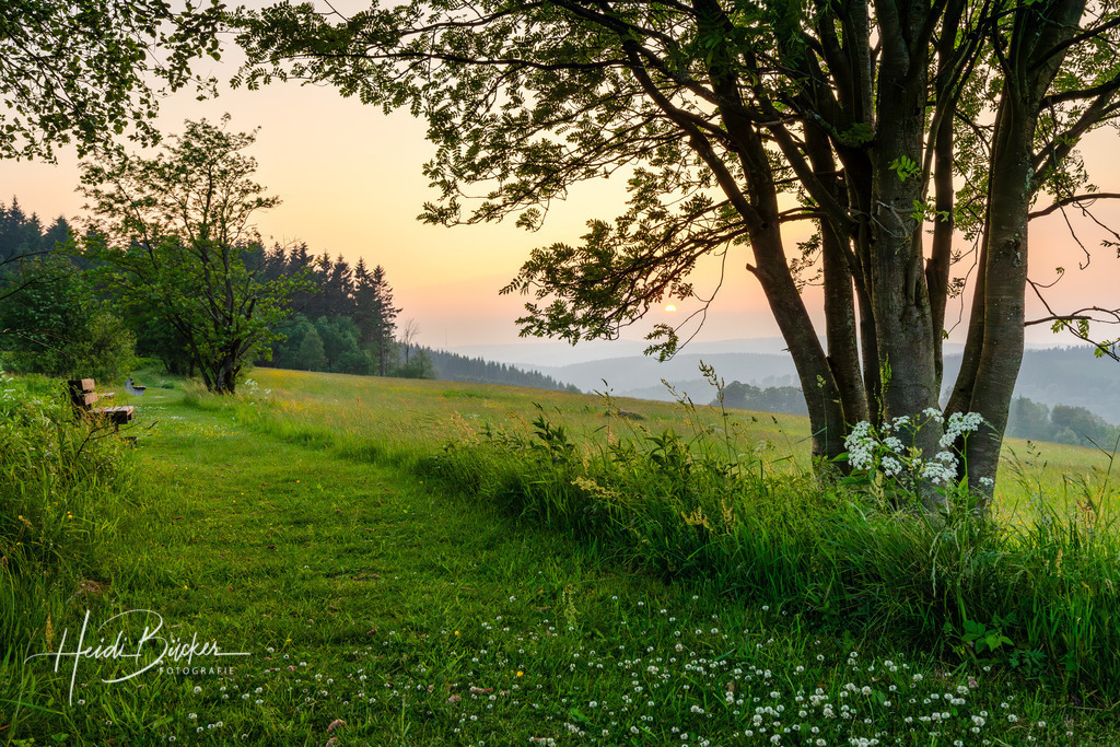Wiesenweg in Altastenberg | Abendstimmung in Altastenberg bei Winterberg - Realisiert mit Pictrs.com