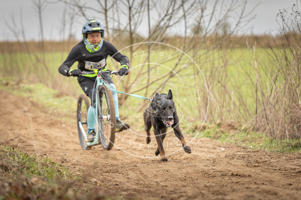 DV3A1353 | Hundefotografie, Tierfotograf, Pfotenfotografie, Fotoshooting Hund, Hunde Portrait, Hundesport, Hundeportraits, Heideshooting, Hunde, Sportfotograf, Hundefotograf, Turnierhundsport, THS,  - Realisiert mit Pictrs.com