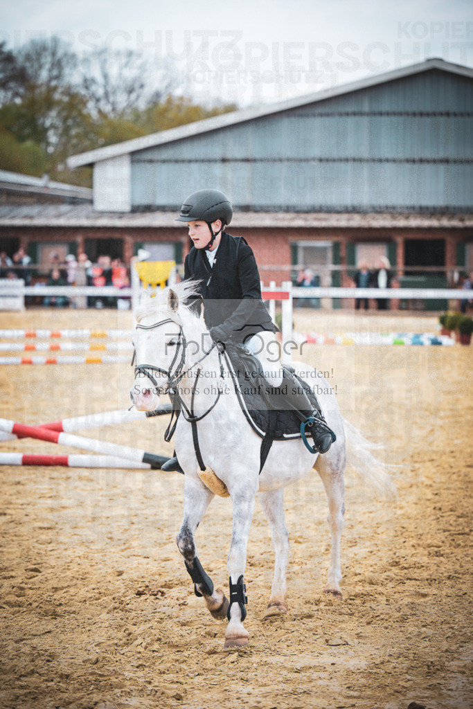 DOS_9639 | Entdecke hochwertige Reitturnierfotos von Foto Oger. Professionell, emotional und authentisch – jetzt Lieblingsmomente im Shop bestellen.Deutschlandweite Turnierfotografie. - Realisiert mit Pictrs.com