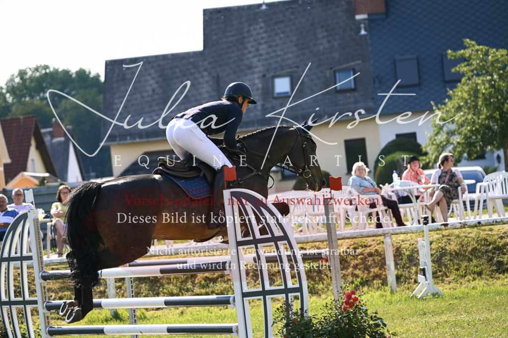 DSC_1443 | Pferde- und Turnierfotografie in Westsachsen. Pferdeportraits, Auftragszeichnungen und intuitive Kunst.