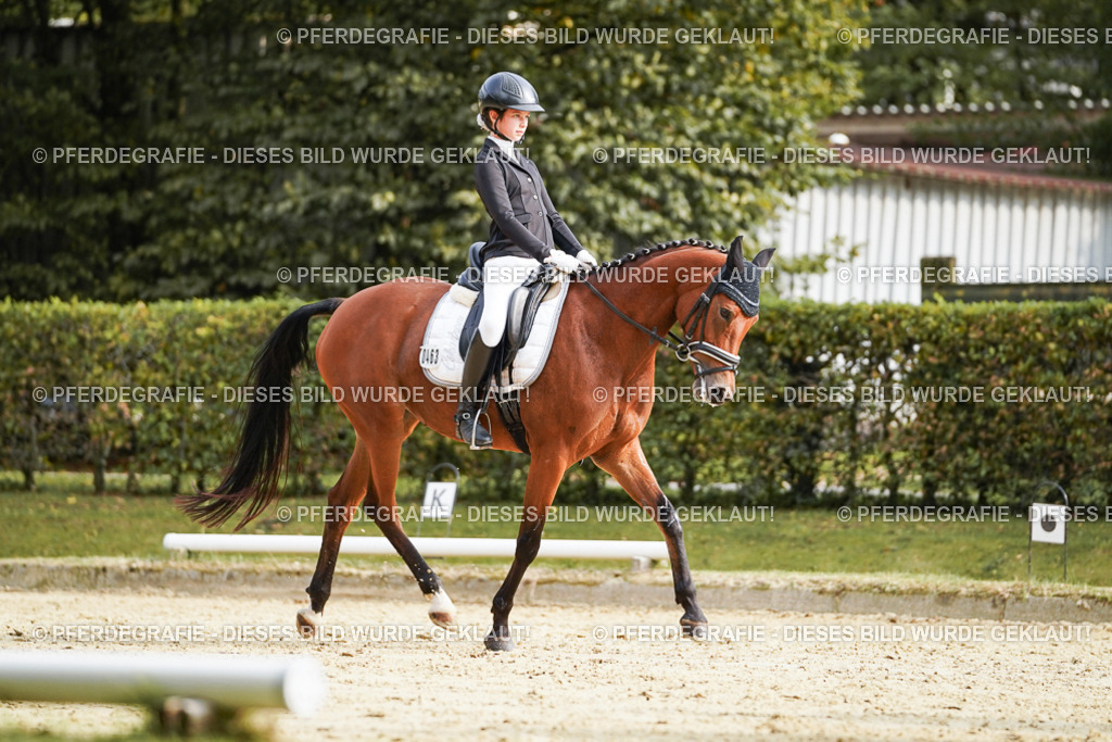 DSC05239 | Pferdegrafie