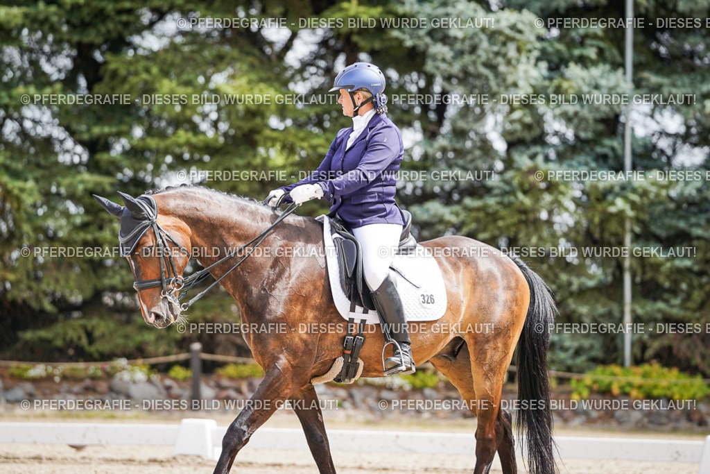 DSC02467 | Pferdegrafie