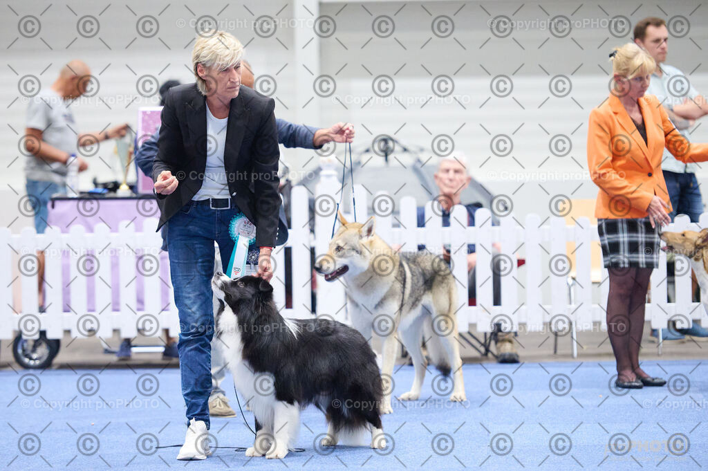 202406_ÖKV-IHA-Tulln24_DSC_2840 | proPHOTO - Realisiert mit Pictrs.com