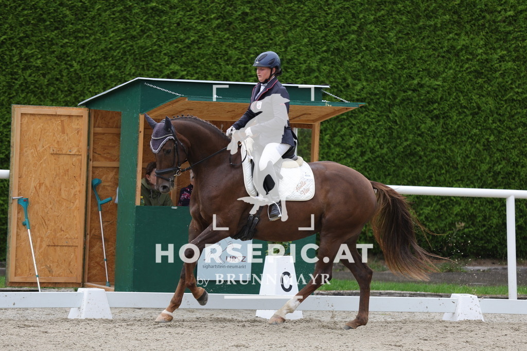 0P6A7880 | Willkommen bei Brunnmayr - Design & Fotografie – Ihrem Spezialisten für Reitturniere und Pferdeveranstaltungen in Oberösterreich, Salzburg und Bayern! Seit über 17 Jahren sind wir leidenschaftlich dabei.