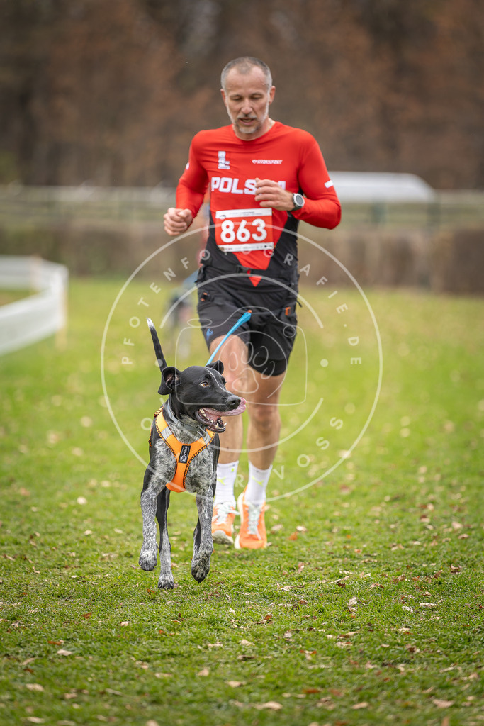 CaniXpix_DV3A6743 | Hundefotografie, Tierfotograf, Pfotenfotografie, Fotoshooting Hund, Hunde Portrait, Hundesport, Hundeportraits, Heideshooting, Hunde, Sportfotograf, Hundefotograf, Turnierhundsport, THS,  - Realisiert mit Pictrs.com