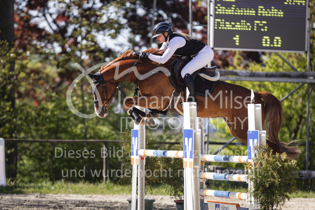 260501_Spenge_5_SprPf-L-526 | Deine schönsten Turniermomente als professionelle Fotos! Entdecke hochwertige Pferdesport-Fotografie im Online-Shop. Jetzt Fotos finden & bestellen!