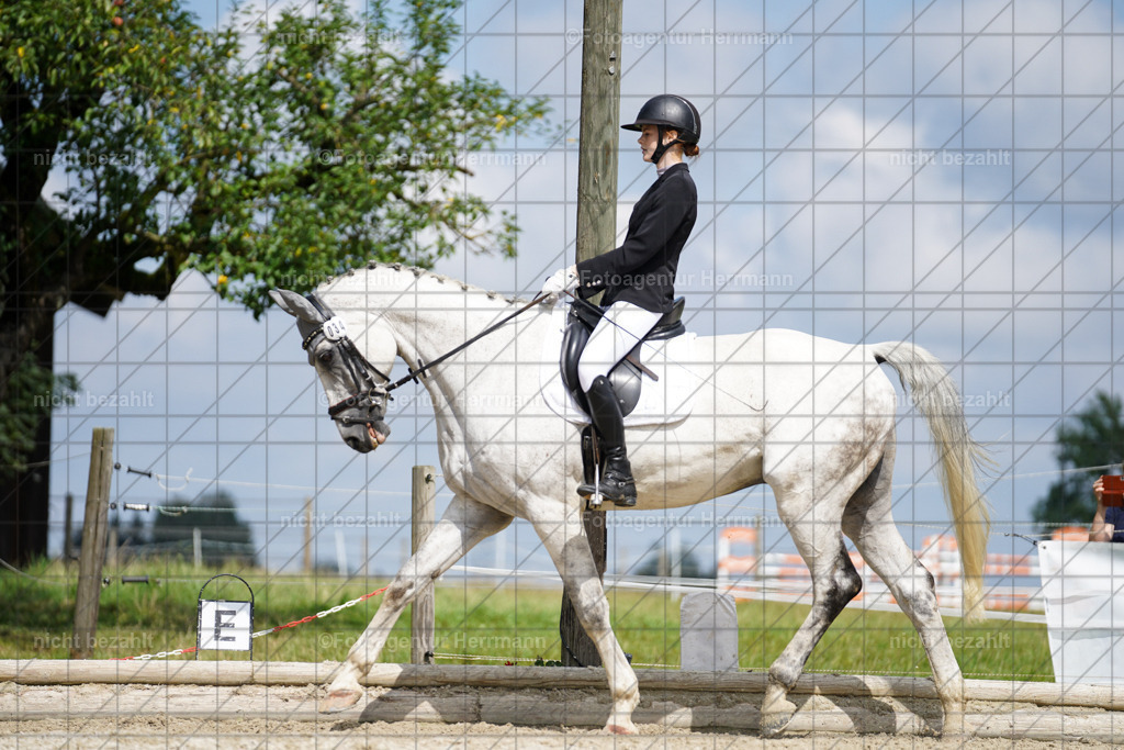 20230826-FAH05371 | Forstinning, 2023, Dressurturnier, Turniersportbilder, Turnierfotografen Bayern, Fotoagentur Herrmann, Reitsportfotografie, Turnierbilder