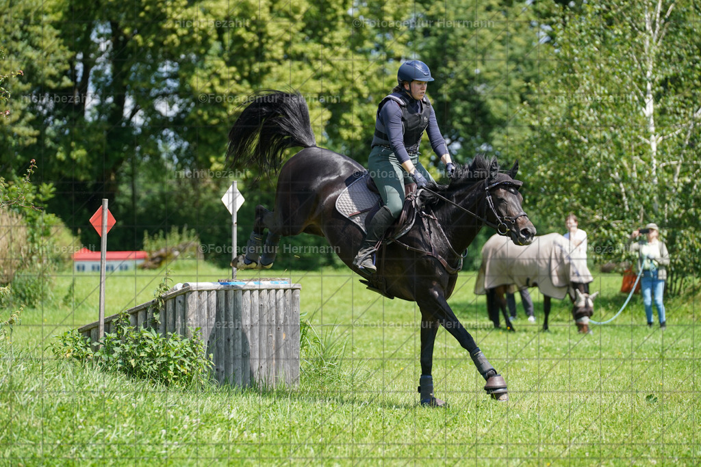 20240622-FAH06820 | Turnierfotografen Bayern, Reitsportbilder aus dem Geländekurs mit Felix Etzel auf dem Gut Waitzacker 2024