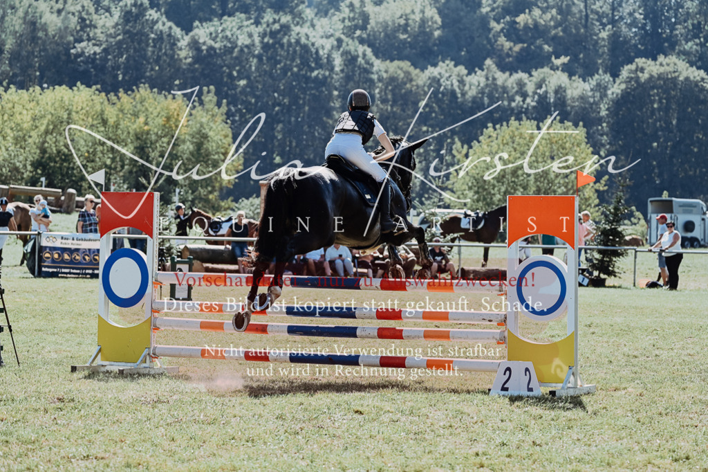 DSC_6005 | Pferde- und Turnierfotografie in Westsachsen. Pferdeportraits, Auftragszeichnungen und intuitive Kunst.