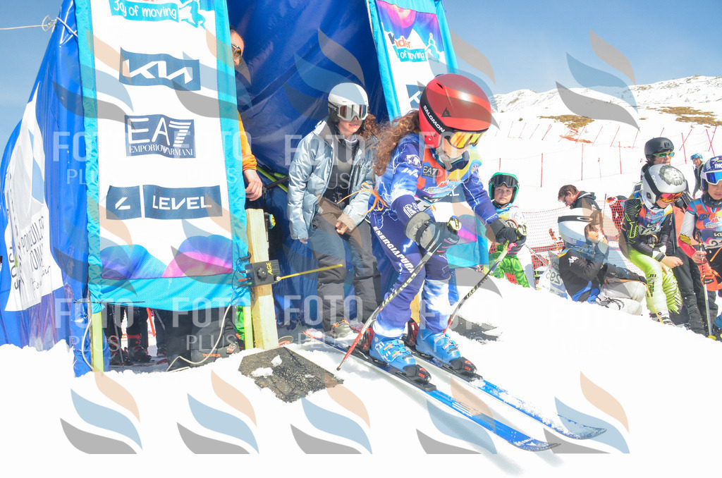 _ELE5962 | holidayphoto