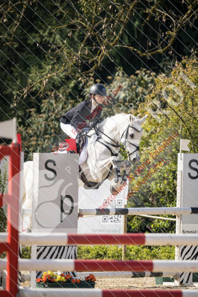 CON_0229 | Sport-, Event- und Tierfotos in Profiqualität. Einfach auswählen, bestellen und herunterladen. Dein Moment – perfekt festgehalten.