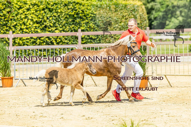 FS WST 26 (261 von 1143) | mandyhollmannphotographie