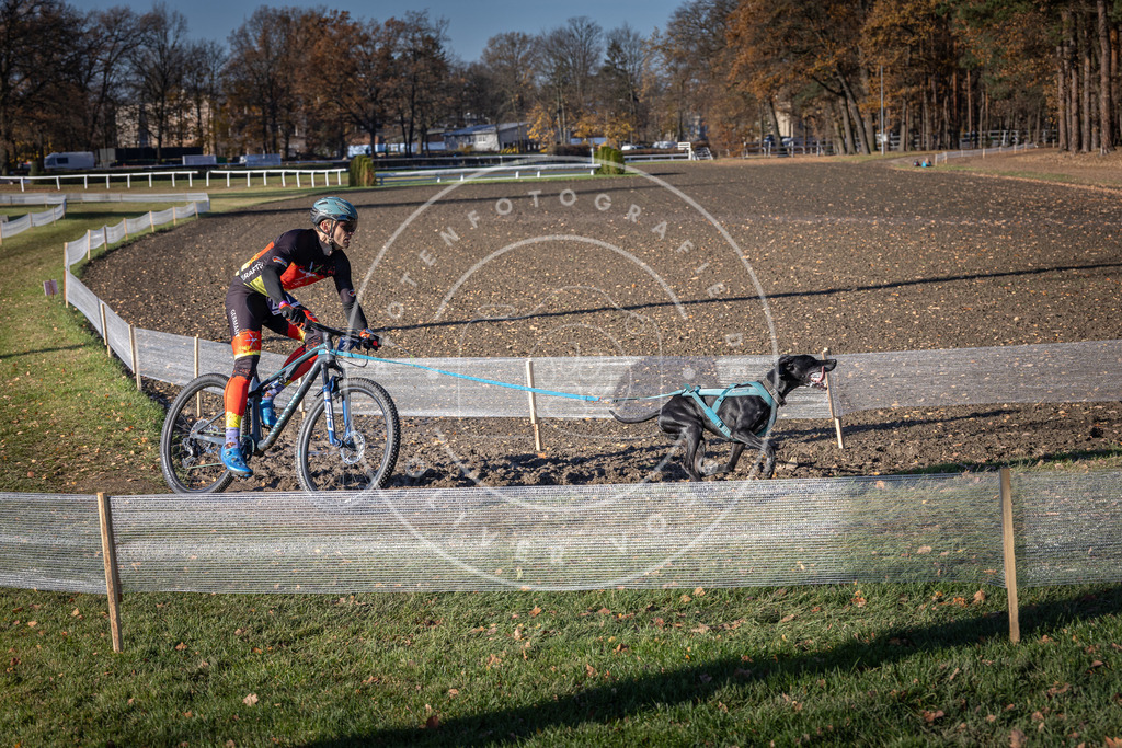 CaniXpix_DV3A3394 | Hundefotografie, Tierfotograf, Pfotenfotografie, Fotoshooting Hund, Hunde Portrait, Hundesport, Hundeportraits, Heideshooting, Hunde, Sportfotograf, Hundefotograf, Turnierhundsport, THS,  - Realisiert mit Pictrs.com
