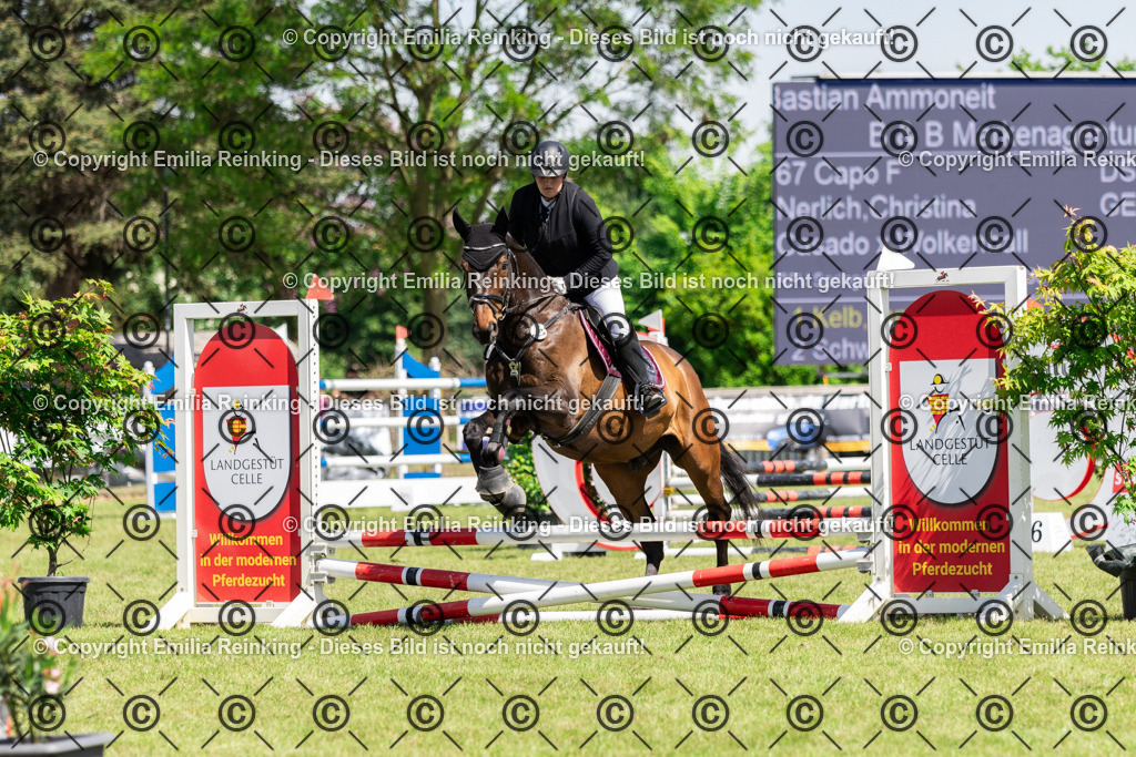 CL5A0056 | Emilia Reinking Fotografie - Realisiert mit Pictrs.com