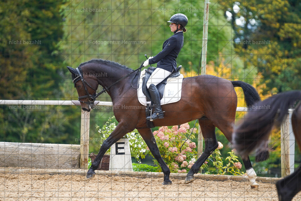 20221008-FAH01090 | Diessen am Ammersee, 2022, Dressur- und Springturnier, Reitsportbilder, Turnierfotografen Bayern, Pferdefotografen, Fotoagentur Herrmann, Turnierbilder