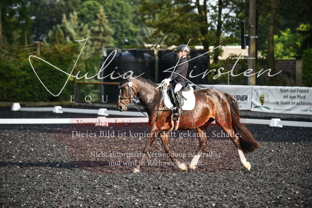 DSC_3543 | Pferde- und Turnierfotografie in Westsachsen. Pferdeportraits, Auftragszeichnungen und intuitive Kunst.