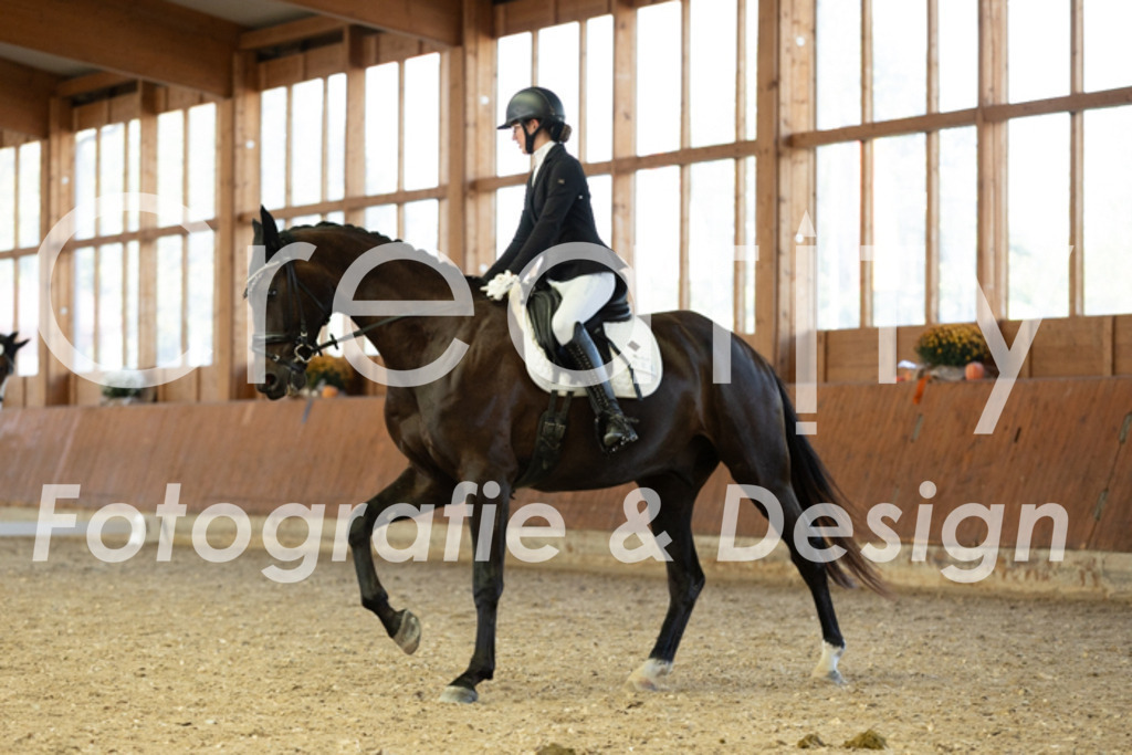 IMG_5086 | Creatify Fotografie