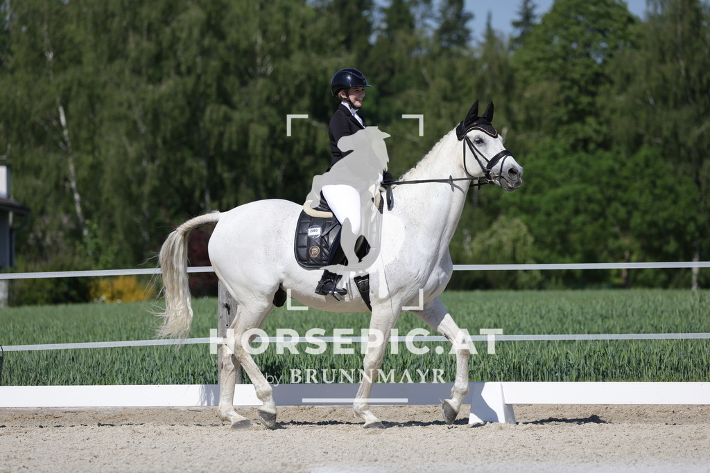 0P6A0266 | Willkommen bei Brunnmayr - Design & Fotografie – Ihrem Spezialisten für Reitturniere und Pferdeveranstaltungen in Oberösterreich, Salzburg und Bayern! Seit über 17 Jahren sind wir leidenschaftlich dabei.