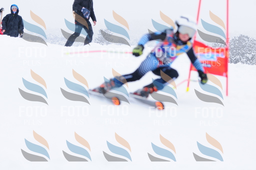 C3331 | holidayphoto