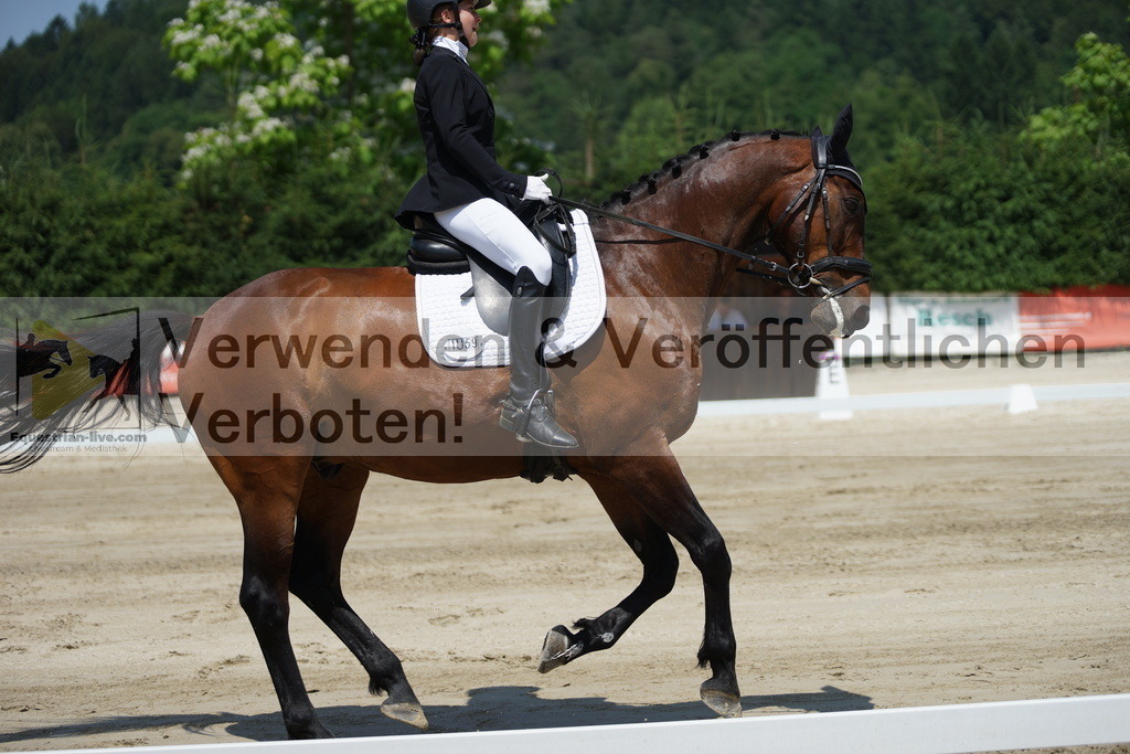 DSC04817 | equestrian-live-com