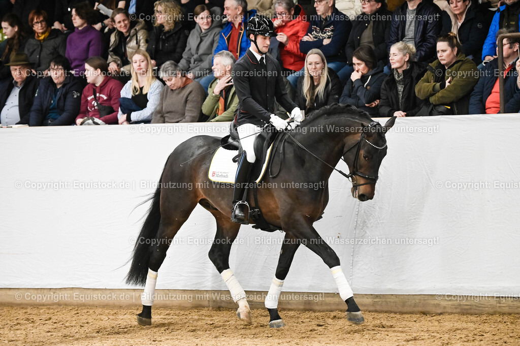 20260307_Hengstvorstellung-Marbach_0062 | equistock