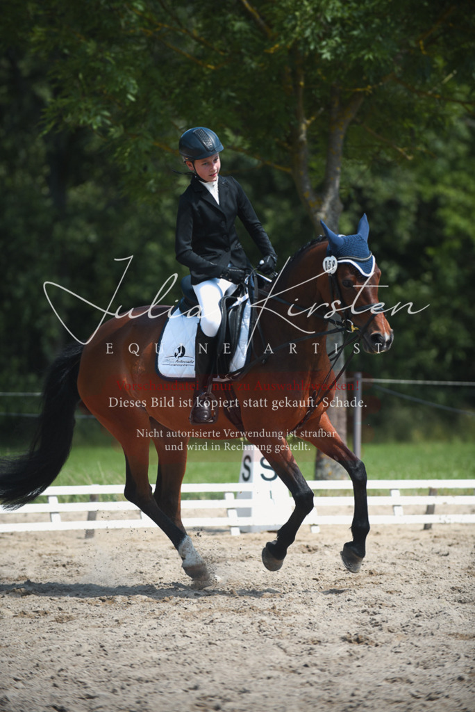 DSC_2314 | Pferde- und Turnierfotografie in Westsachsen. Pferdeportraits, Auftragszeichnungen und intuitive Kunst.