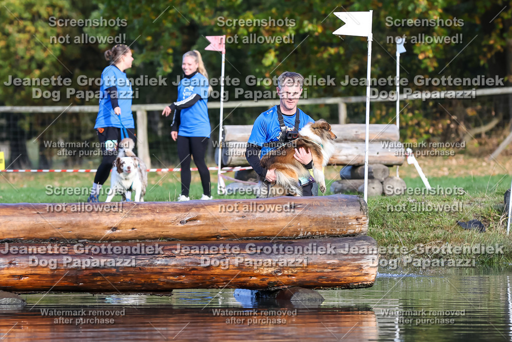 Dog Paparazzi - Strongdog 10-25-8526 | Dog Paparazzi Jeanette Grottendiek Fotografie & Videografie - Realisiert mit Pictrs.com