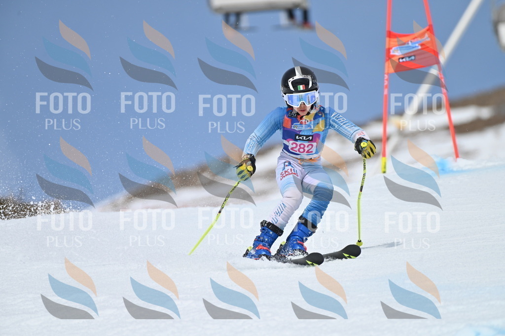 BGV_2441 | holidayphoto